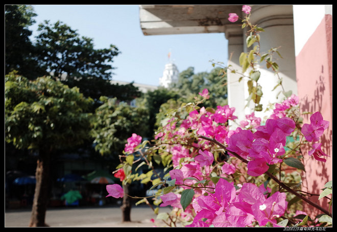 20200119缅甸仰光马拉松（2/2）