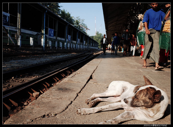 20200119缅甸仰光马拉松（2/2）