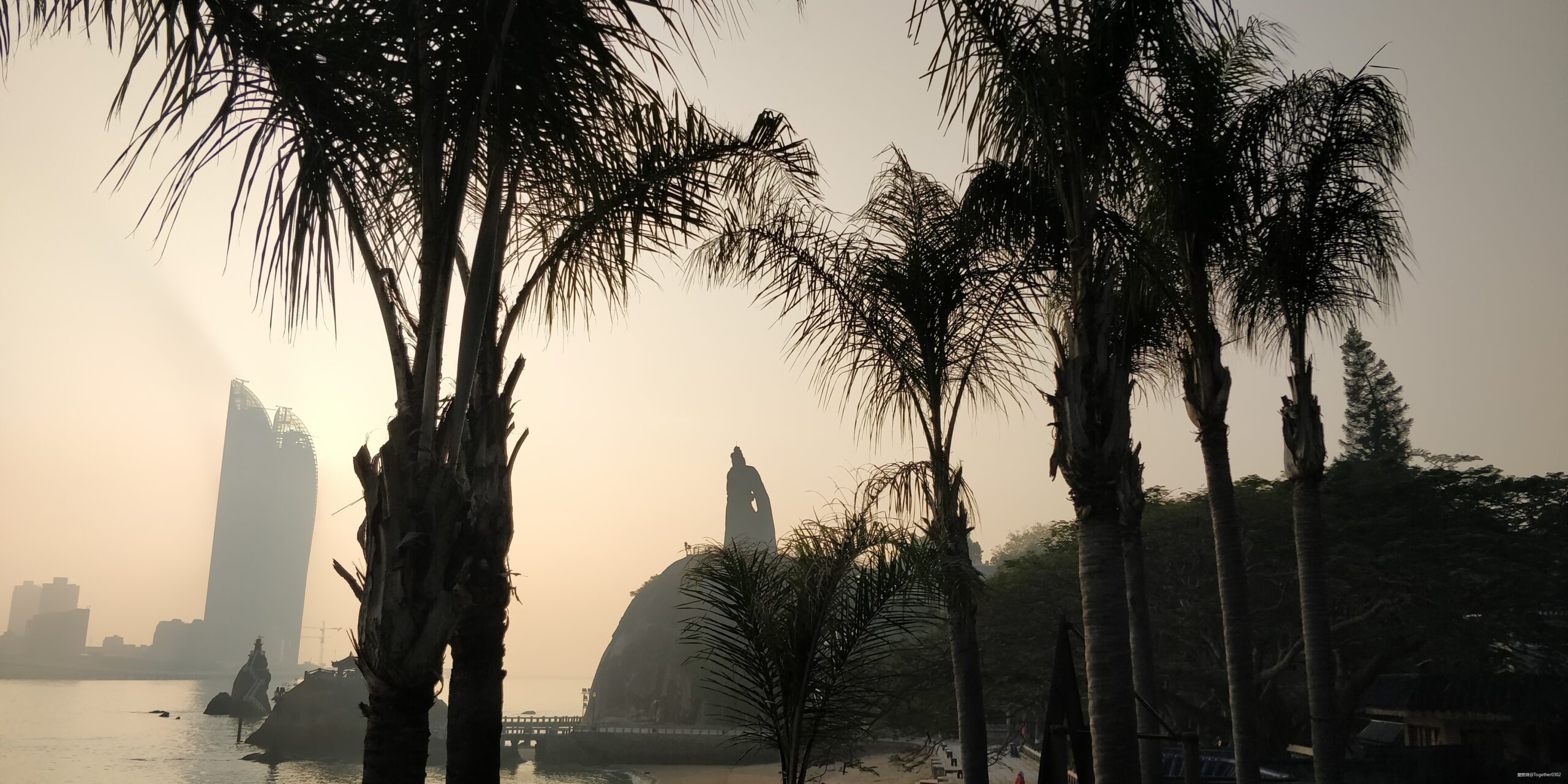 跑步爱上一座城，找寻遗失的小美好——2020厦门马拉松流水日记