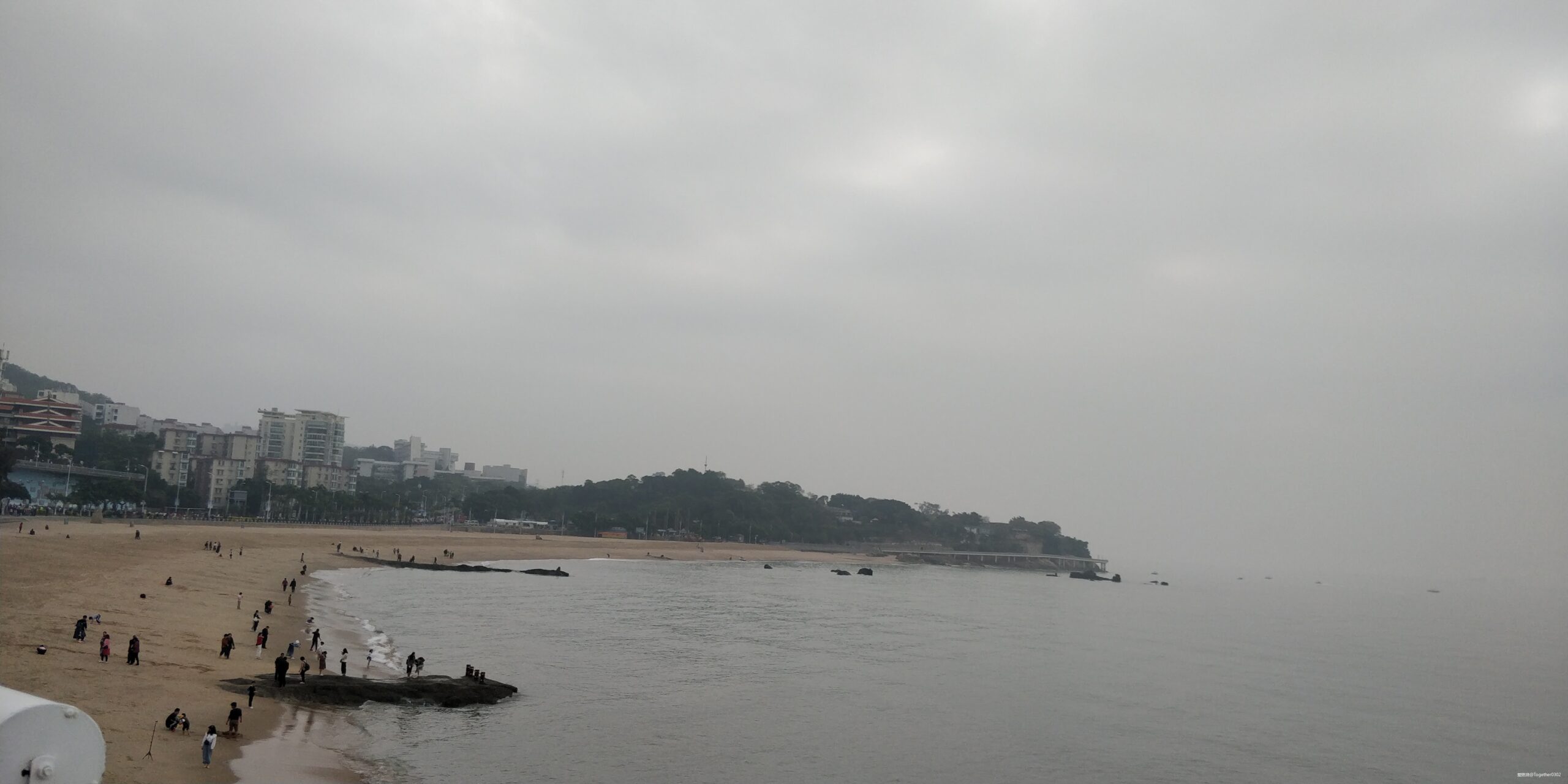 跑步爱上一座城，找寻遗失的小美好——2020厦门马拉松流水日记