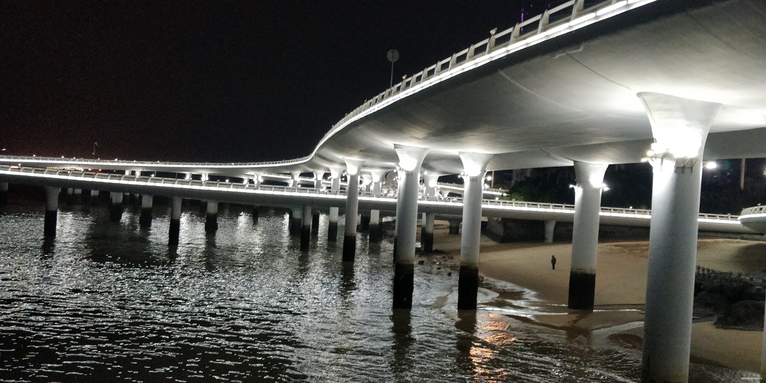 跑步爱上一座城，找寻遗失的小美好——2020厦门马拉松流水日记