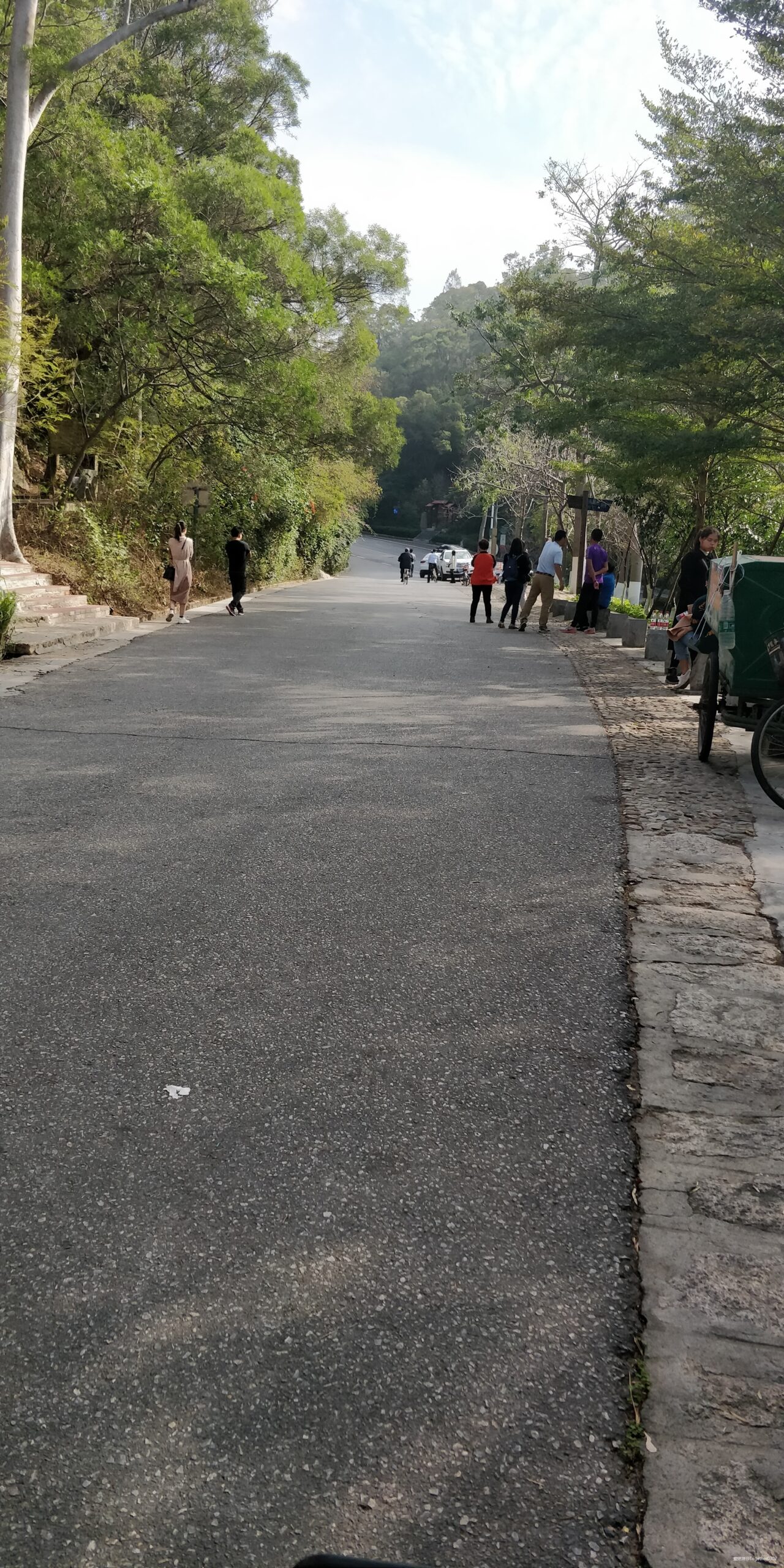 跑步爱上一座城，找寻遗失的小美好——2020厦门马拉松流水日记