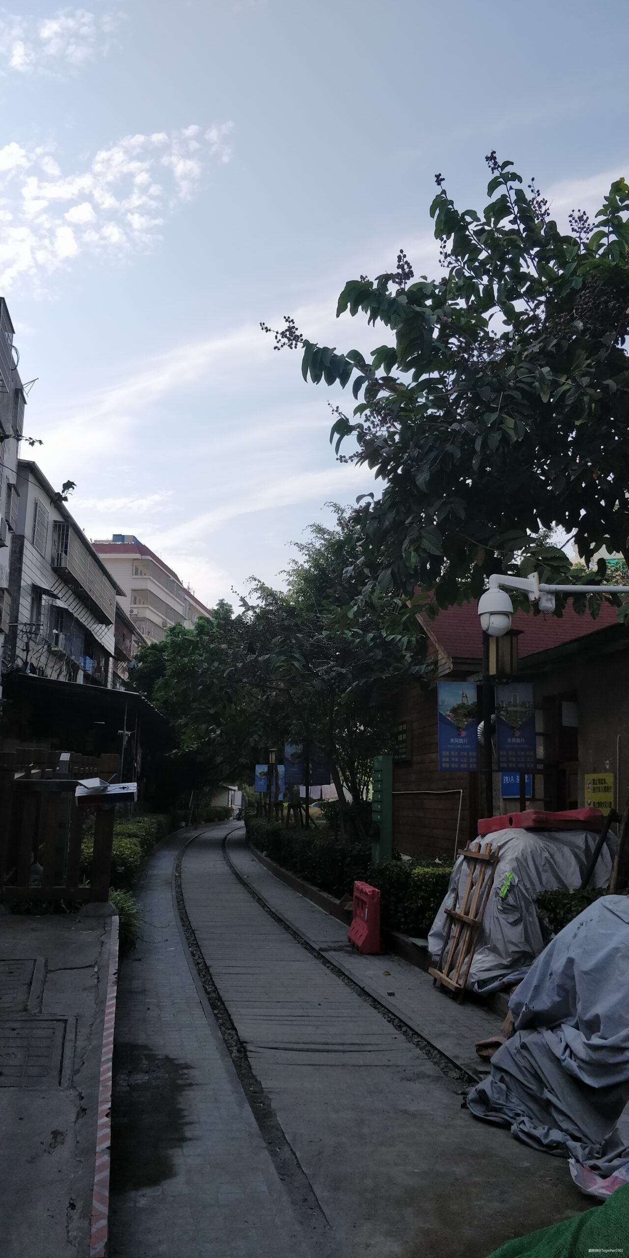 跑步爱上一座城，找寻遗失的小美好——2020厦门马拉松流水日记