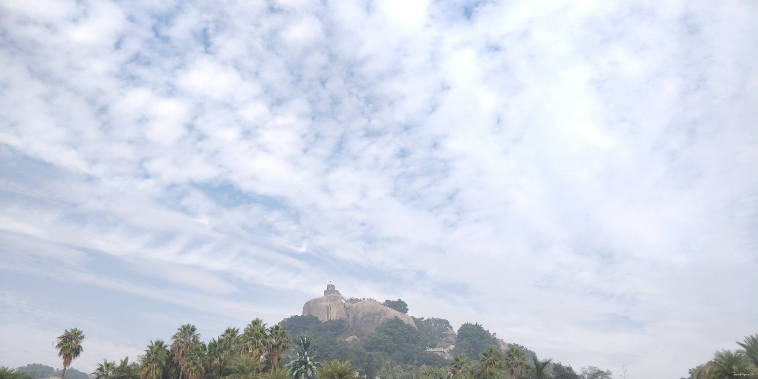 跑步爱上一座城，找寻遗失的小美好——2020厦门马拉松流水日记