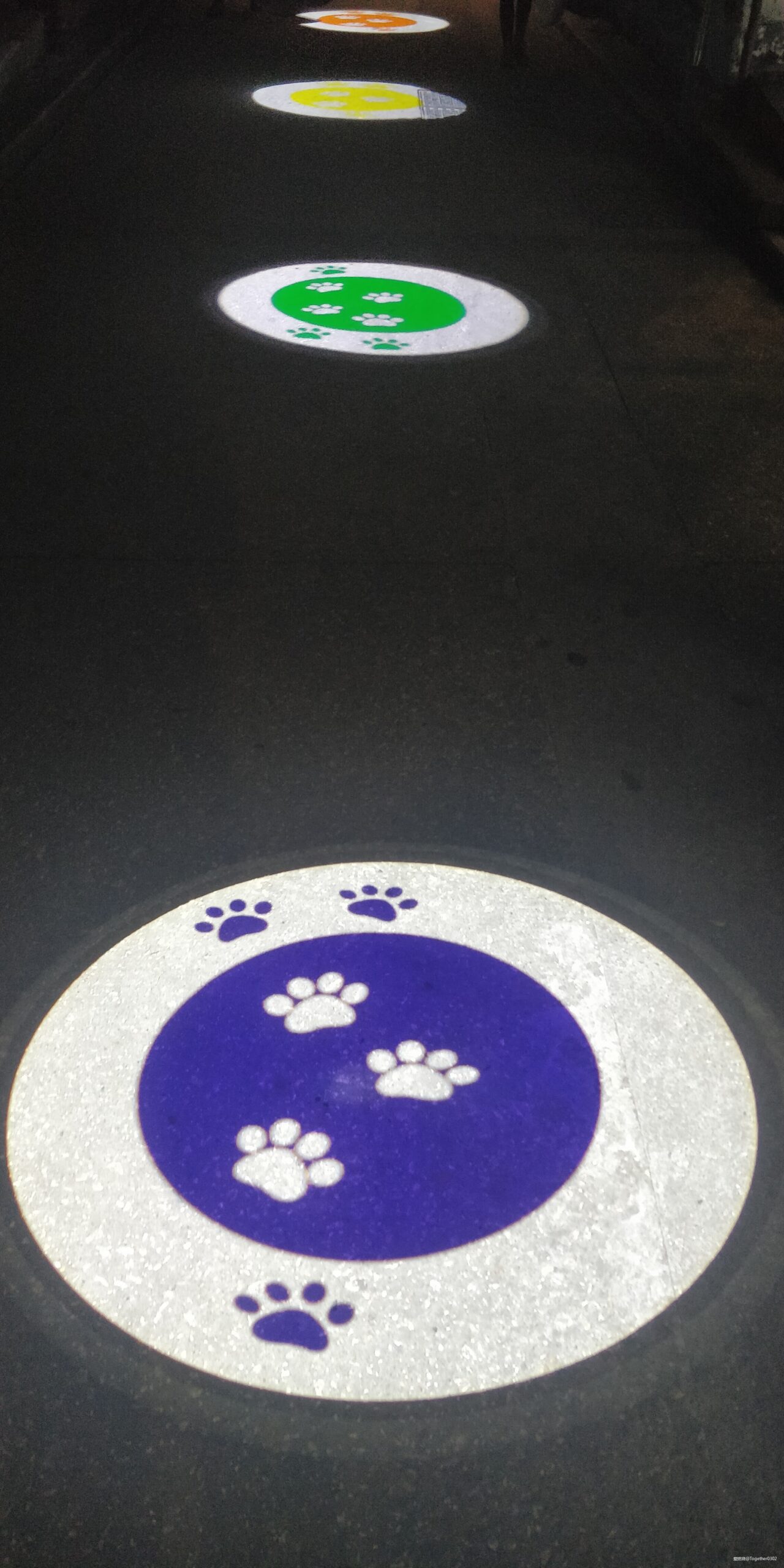 跑步爱上一座城，找寻遗失的小美好——2020厦门马拉松流水日记