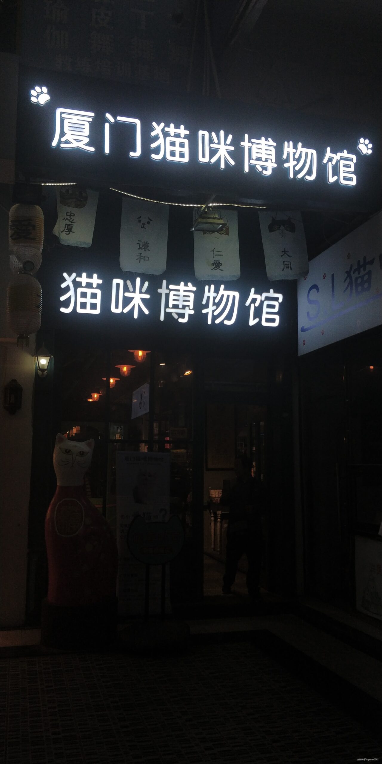 跑步爱上一座城，找寻遗失的小美好——2020厦门马拉松流水日记