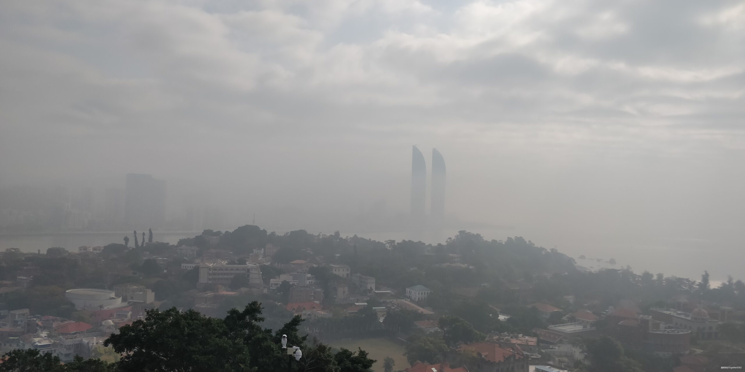 跑步爱上一座城，找寻遗失的小美好——2020厦门马拉松流水日记