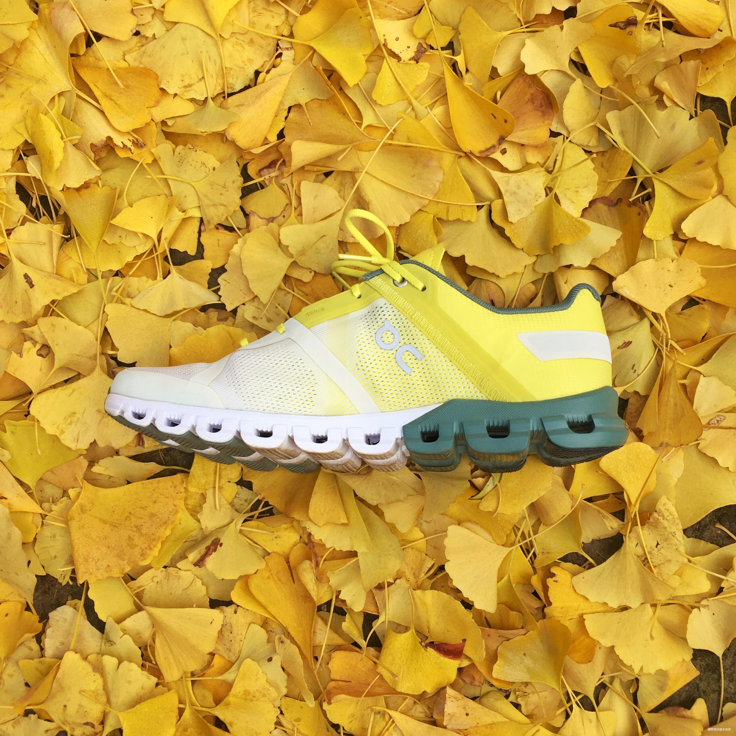 望乡叔叔测评---on running 昂跑 Cloudflow 2 测评