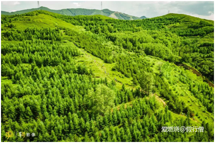 2019崇礼168 越野赛-假行僧