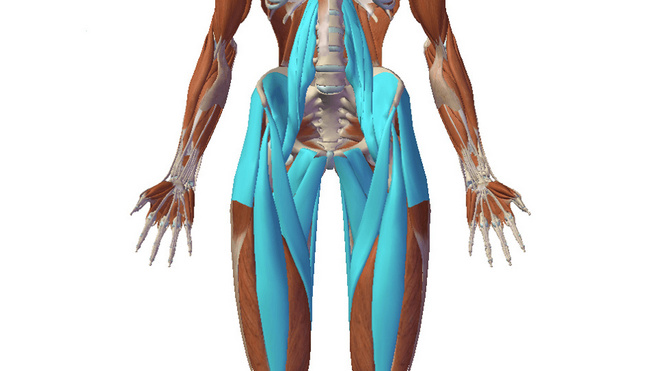 跑步时不同部位的肌肉是如何“工作”的