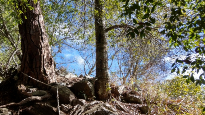 漫野谷關七雄－波津加山篇