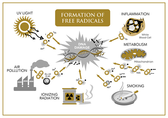 跑步是冻龄，还是催人老？
