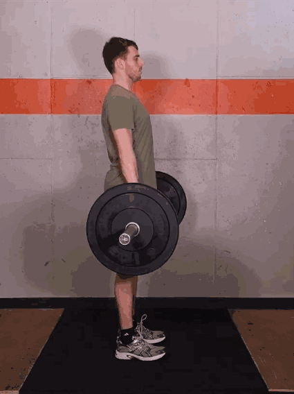 跑步时不同部位的肌肉是如何“工作”的