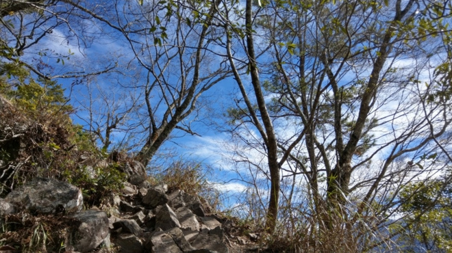 漫野谷關七雄－波津加山篇
