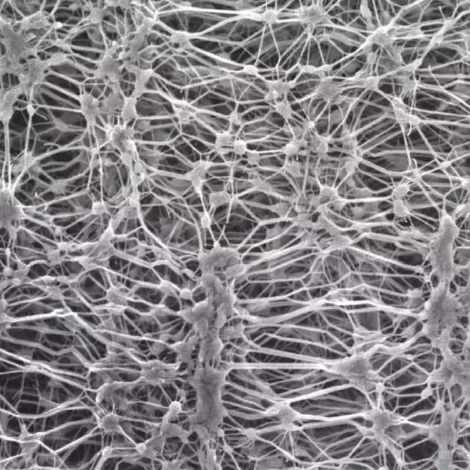 在路边走着走着，突然就想跑越野了