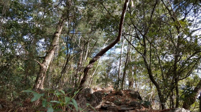 漫野谷關七雄－波津加山篇