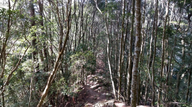 漫野谷關七雄－波津加山篇