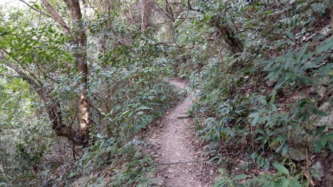 漫野谷關七雄－波津加山篇