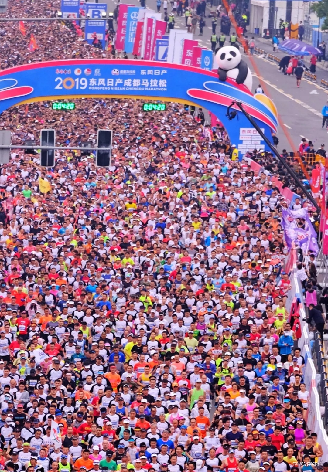 纵马春风会有时——疫情中的马拉松思绪