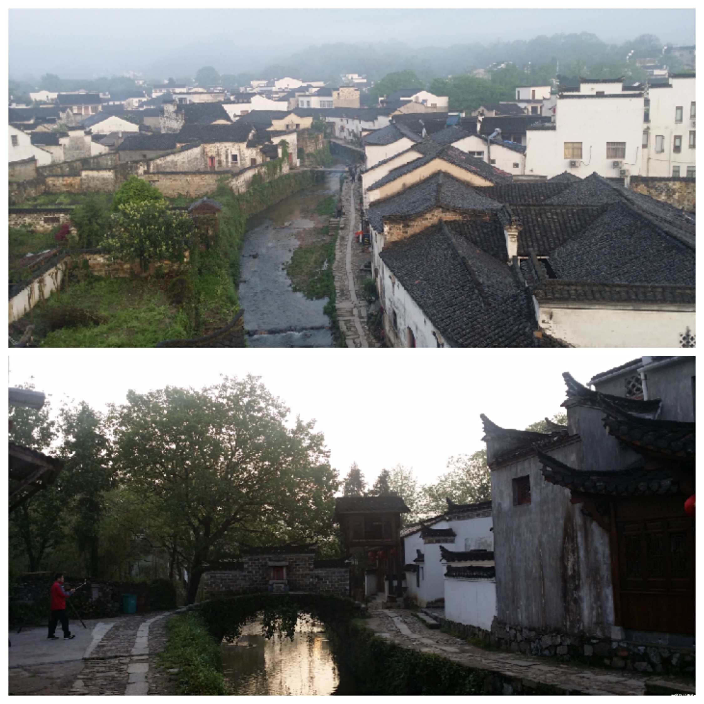 那年春上花满蹊