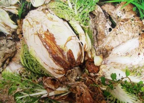 你以为你跑步时的样子VS实际你跑步时的样子