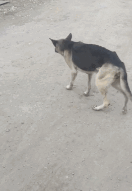 你以为你跑步时的样子VS实际你跑步时的样子