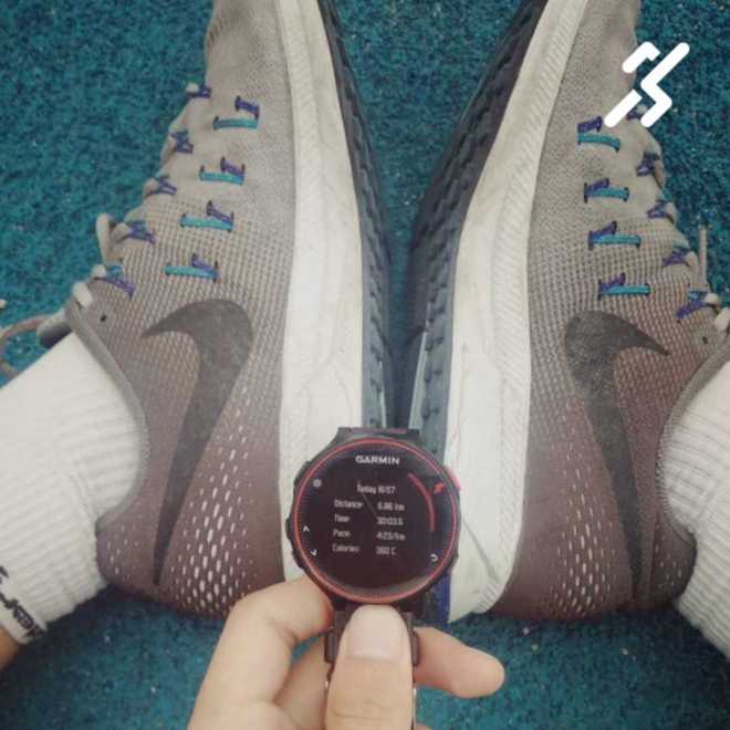 为鞋37载 为何人人都爱Pegasus？