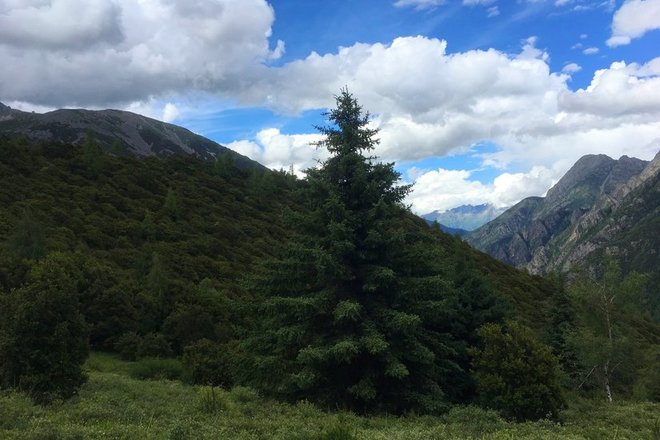 “八美胜境 . 别致雅拉”——记顶石100超级越野大师赛60KM！