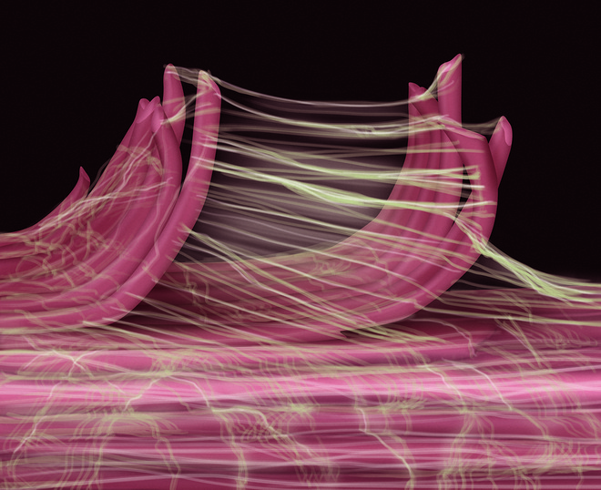 筋膜枪都听说过，但“筋膜”到底是个啥？