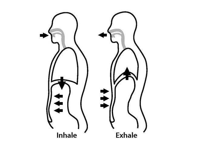 你可能不懂“跑步呼吸经济学”