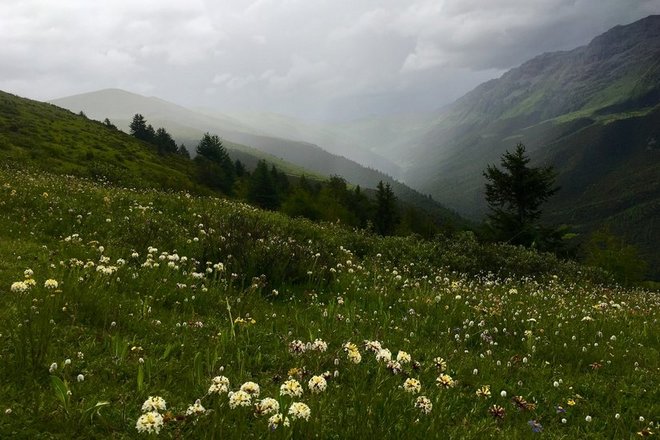 “八美胜境 . 别致雅拉”——记顶石100超级越野大师赛60KM！