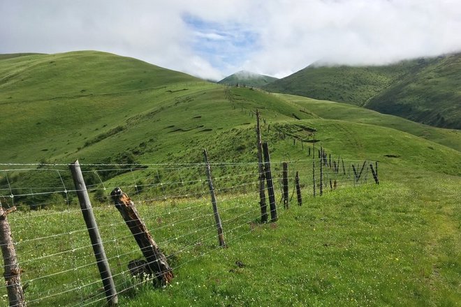 “八美胜境 . 别致雅拉”——记顶石100超级越野大师赛60KM！