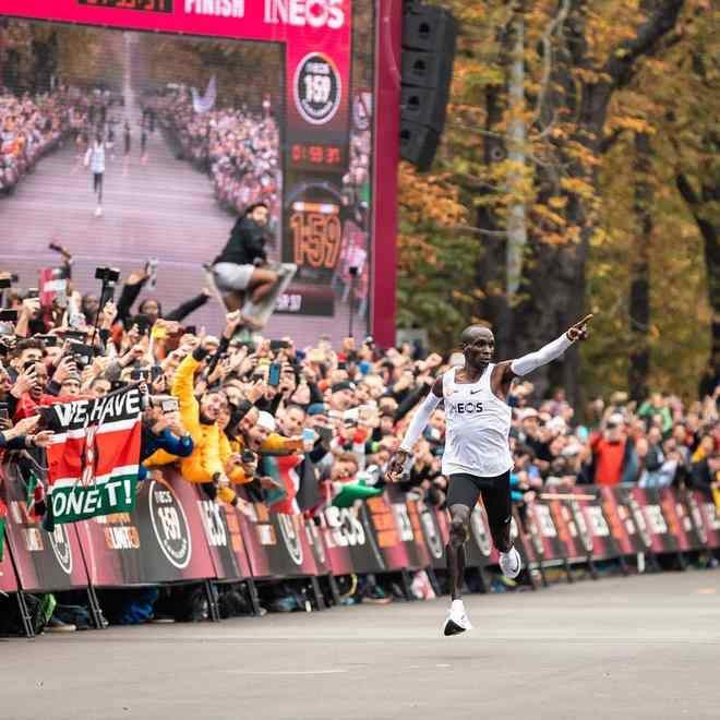 我们和一双Alphafly NEXT%聊了几句