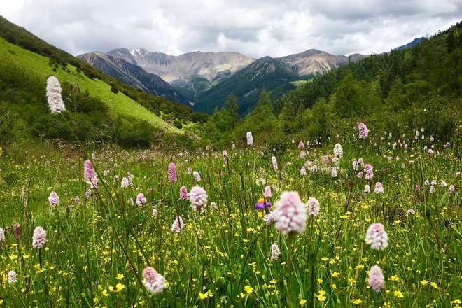 “八美胜境 . 别致雅拉”——记顶石100超级越野大师赛60KM！