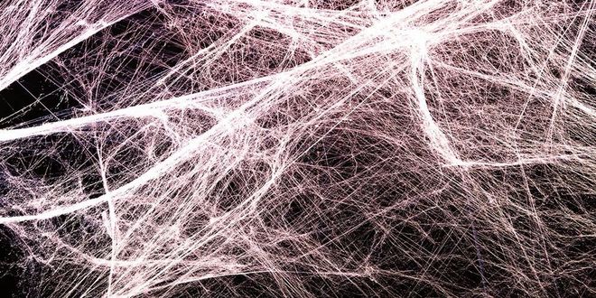 筋膜枪都听说过，但“筋膜”到底是个啥？