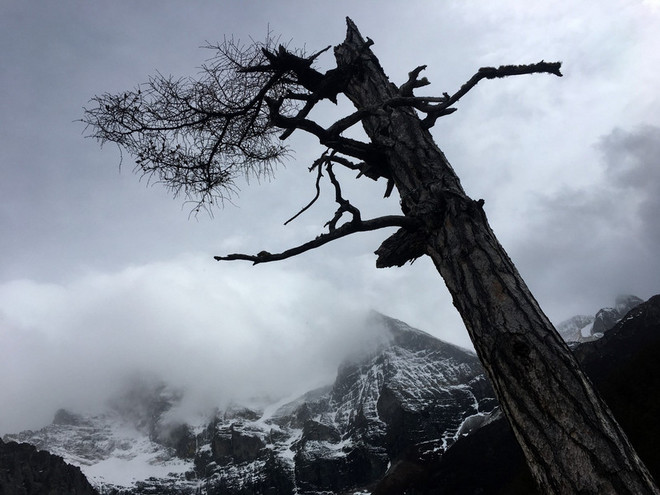“转山之路 . 寻美之道”——2019年5月飚山越野龙腾亚丁超级转山53KM