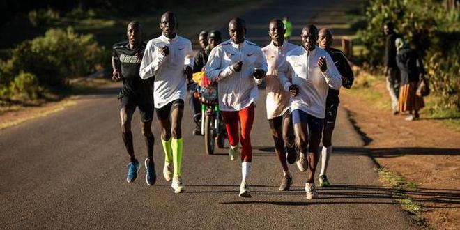 据说运动员都没头脑