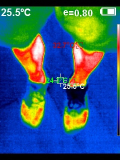 你可能不懂“跑步呼吸经济学”