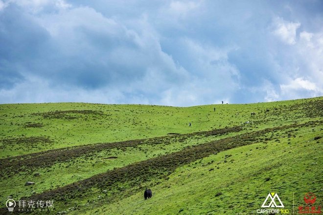 “八美胜境 . 别致雅拉”——记顶石100超级越野大师赛60KM！