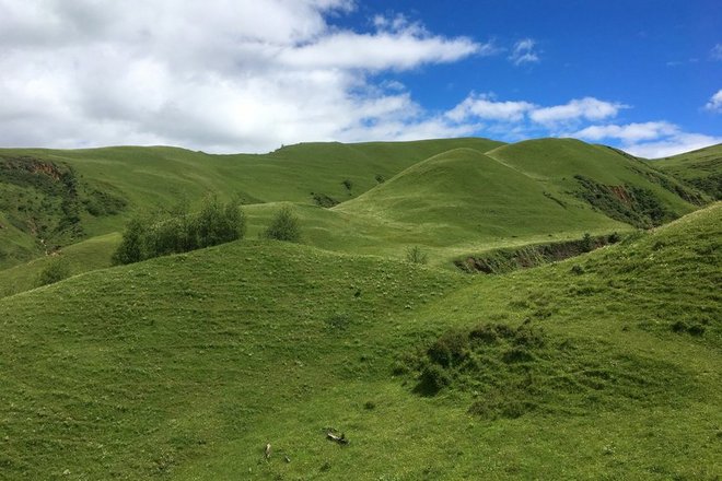 “八美胜境 . 别致雅拉”——记顶石100超级越野大师赛60KM！