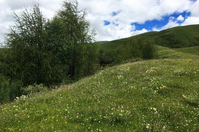 “八美胜境 . 别致雅拉”——记顶石100超级越野大师赛60KM！