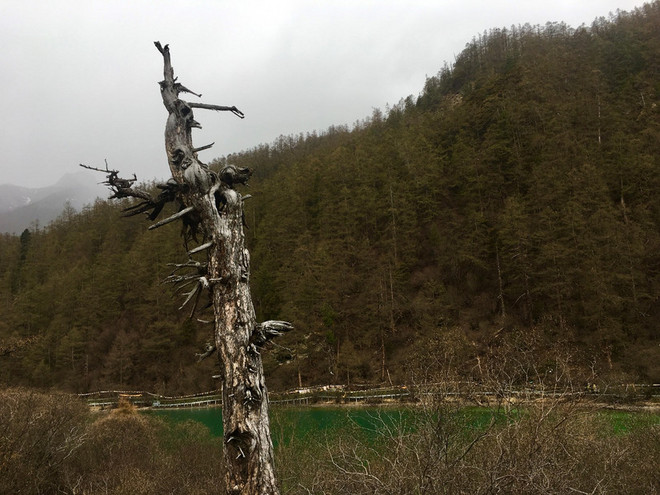 “转山之路 . 寻美之道”——2019年5月飚山越野龙腾亚丁超级转山53KM