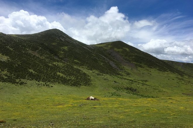“八美胜境 . 别致雅拉”——记顶石100超级越野大师赛60KM！