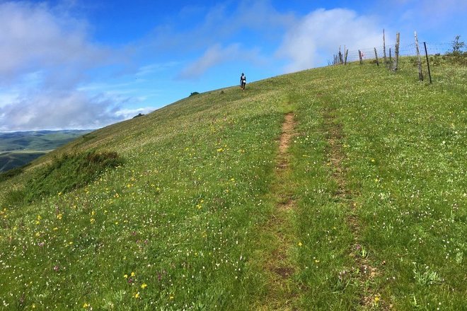 “八美胜境 . 别致雅拉”——记顶石100超级越野大师赛60KM！