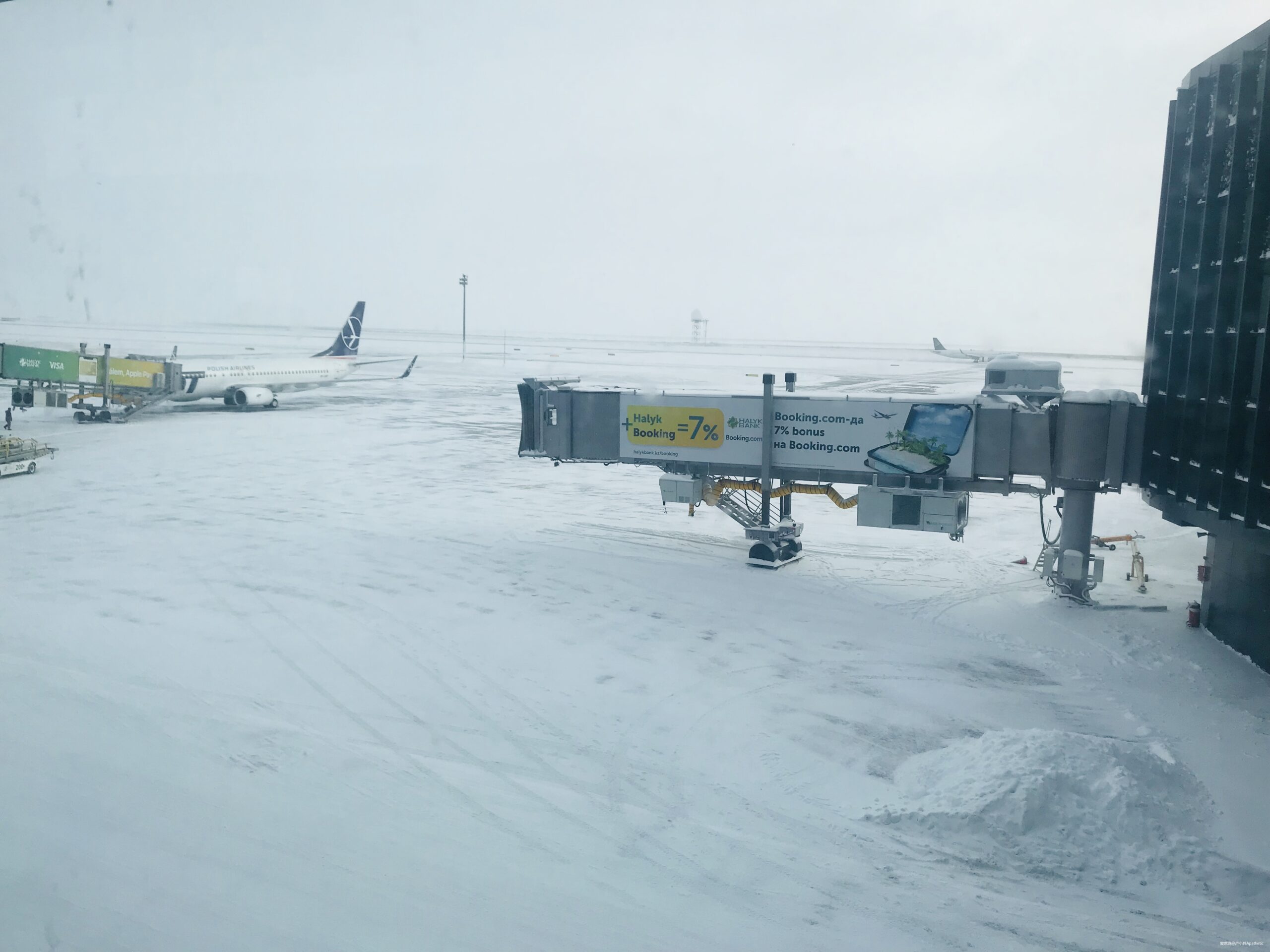 奔跑在土豪国度--记2020渣打迪拜马拉松