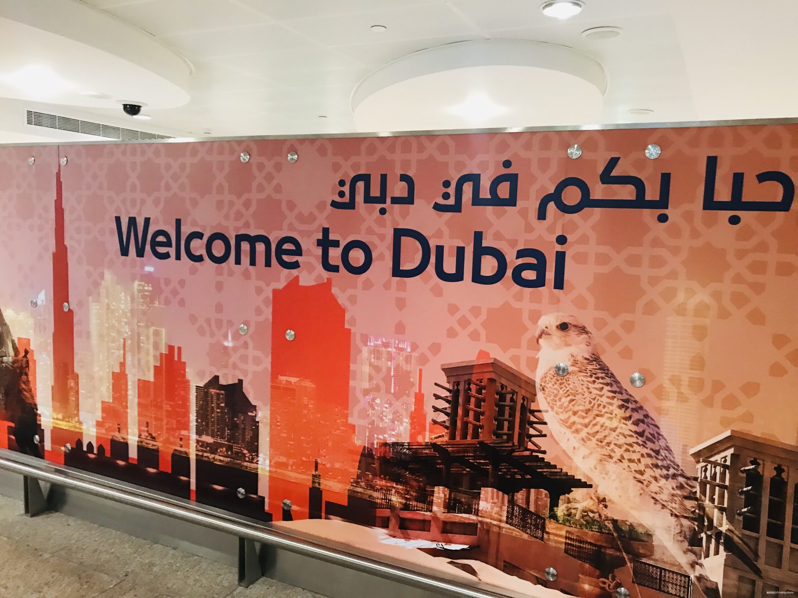 奔跑在土豪国度--记2020渣打迪拜马拉松