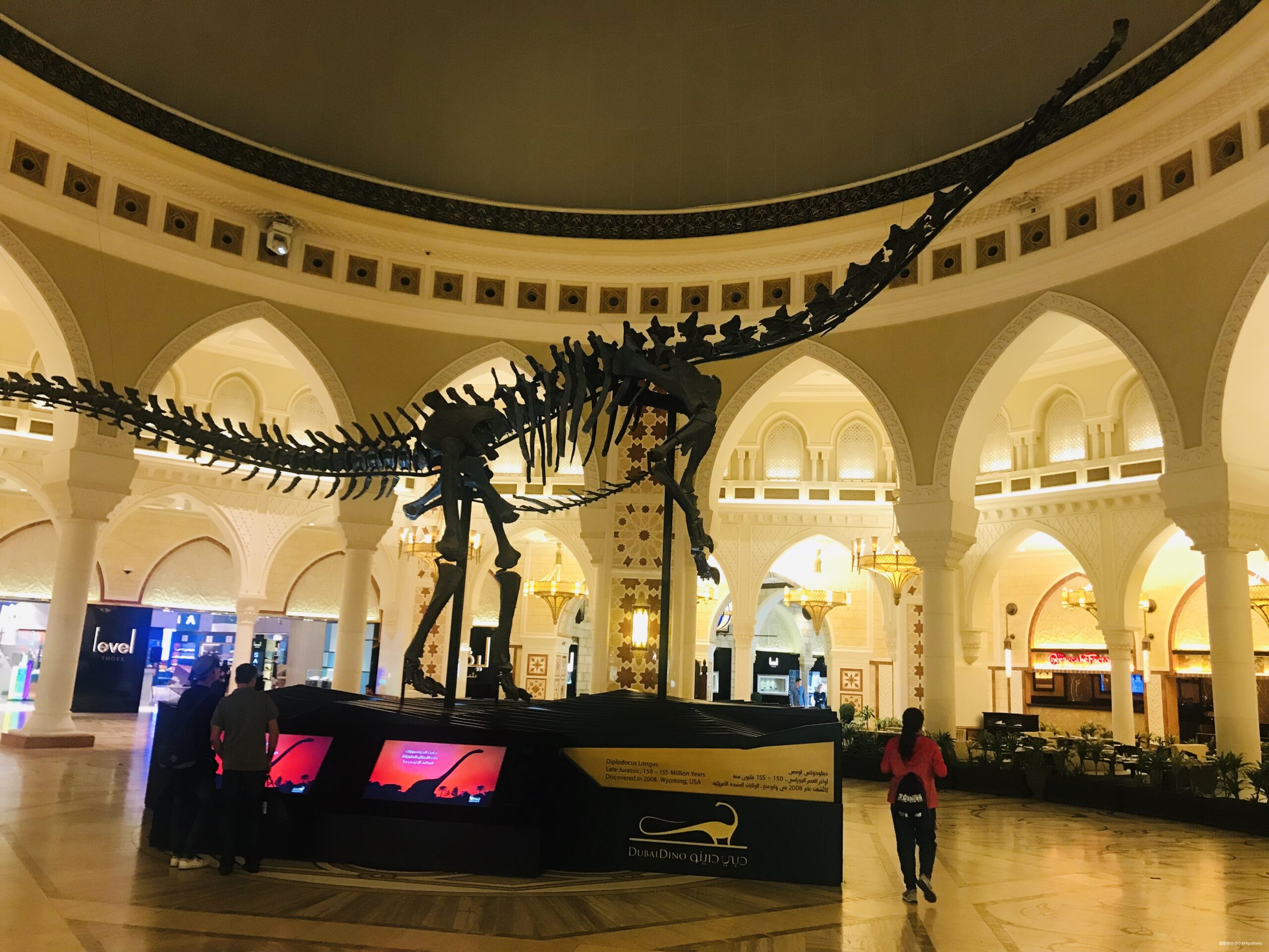 奔跑在土豪国度--记2020渣打迪拜马拉松