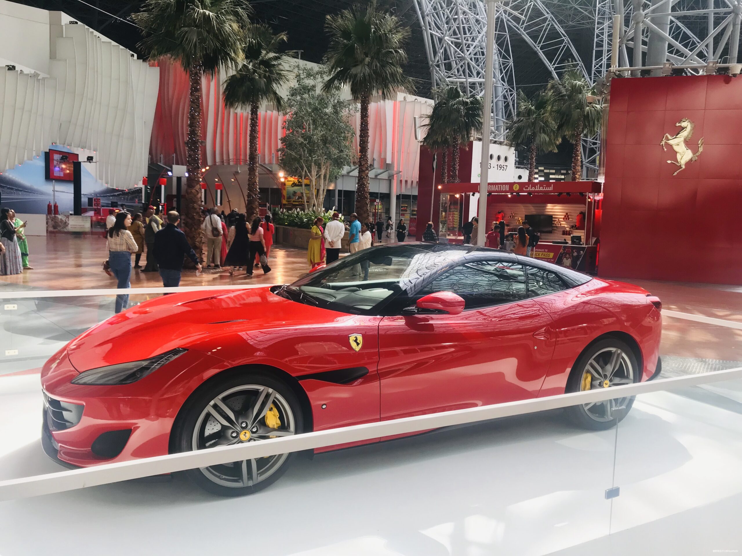 奔跑在土豪国度--记2020渣打迪拜马拉松