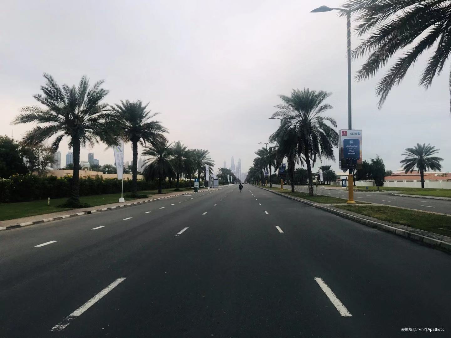 奔跑在土豪国度--记2020渣打迪拜马拉松