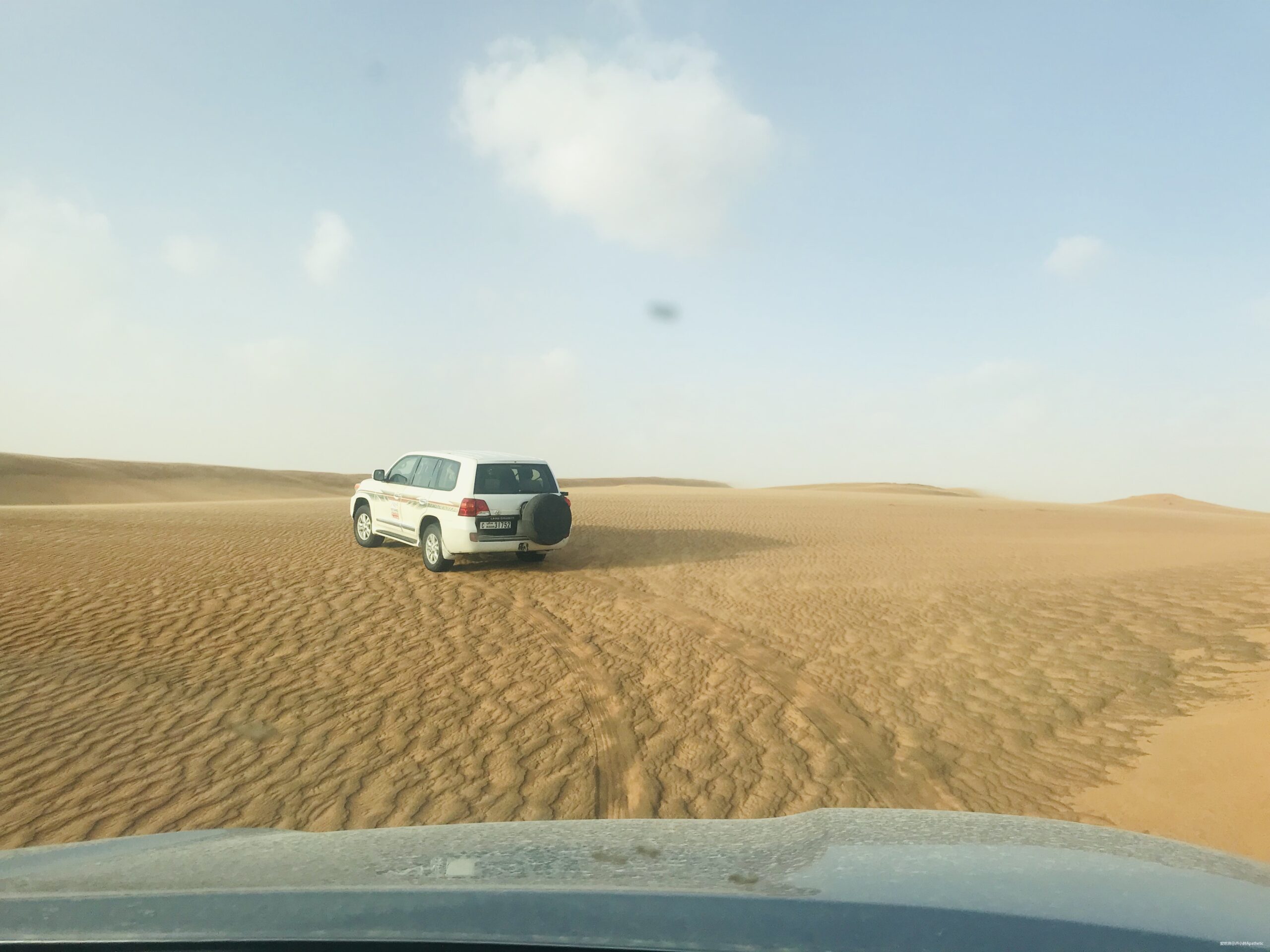 奔跑在土豪国度--记2020渣打迪拜马拉松